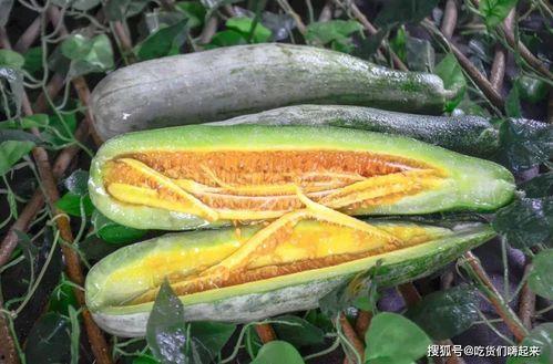 射阳网红吃瓜事件